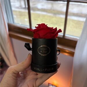 Venus et Fleur Eternity De Venus Le Mini Round Eternity Rose